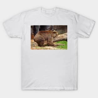 Teddy Bear At Rest 2 T-Shirt